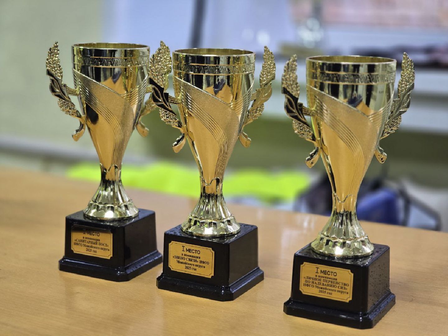 можайск, можайский муниципальный округ, подмосковье, соревнования, нештатные формирования, гражданская оборона, муниципальные соревнования,