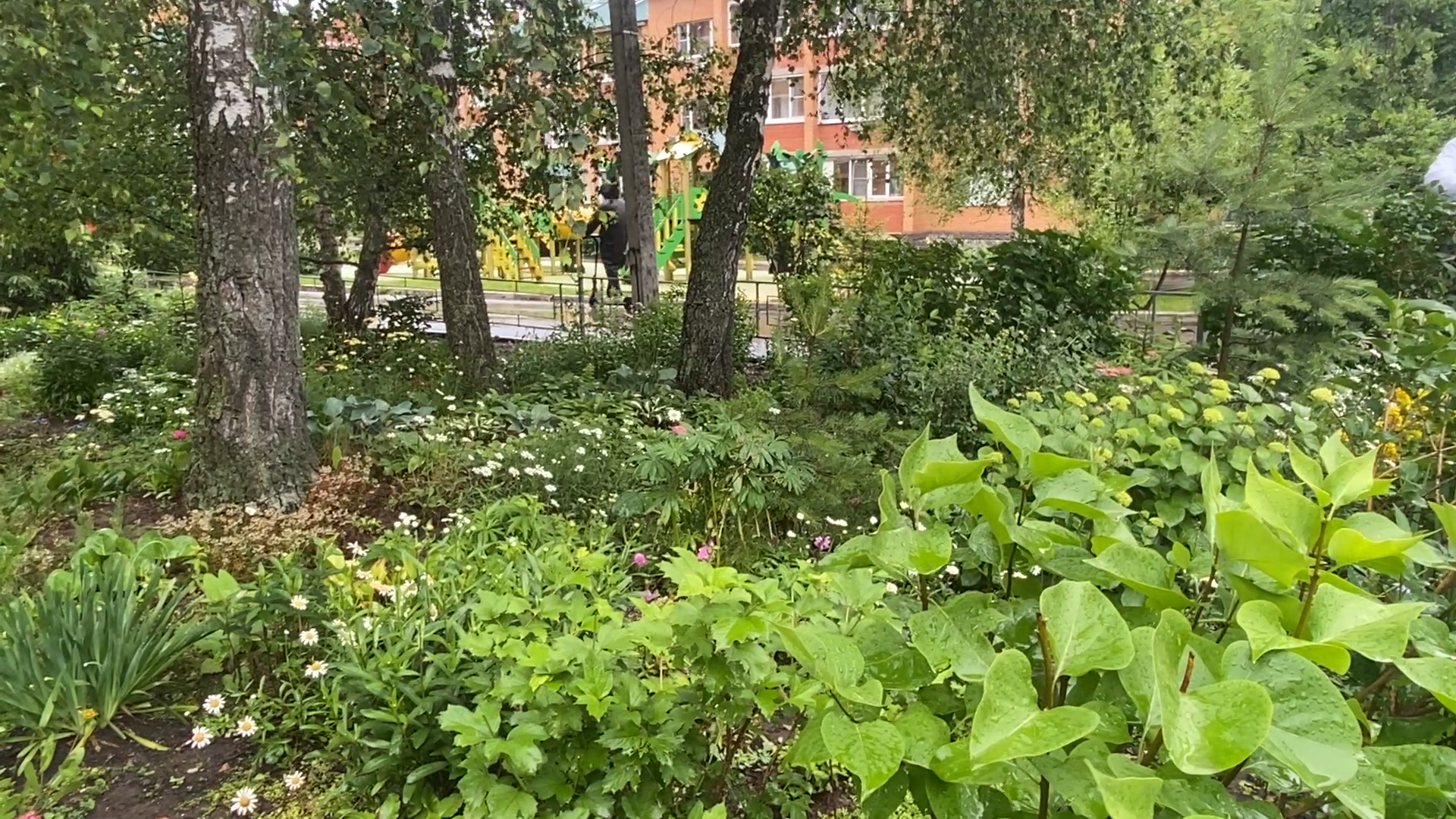 микрорайон березки, власиха березки, улица южная власиха, благоустройство власиха, жкх и благоустройство,