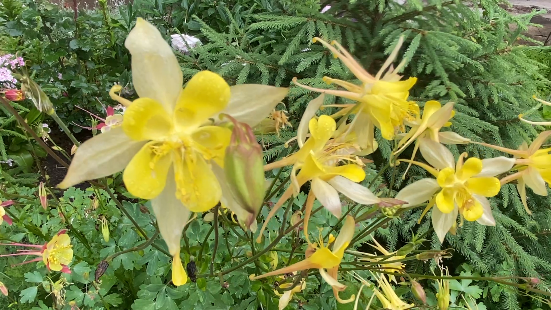 микрорайон березки, власиха березки, улица южная власиха, благоустройство власиха, жкх и благоустройство,