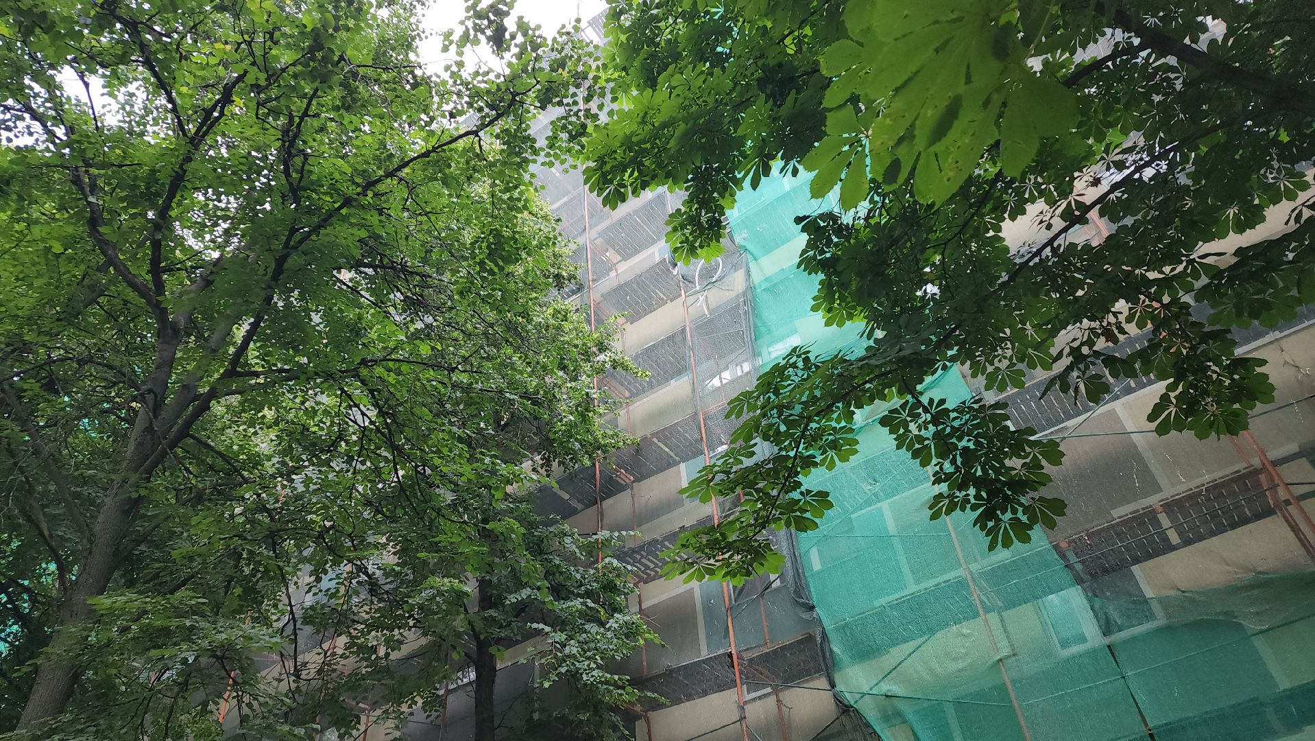 пушкино, вертикалки, ремонт фасада,капремонт, капитальный ремонт дома,отделка,фонд капитального ремонта московской области,