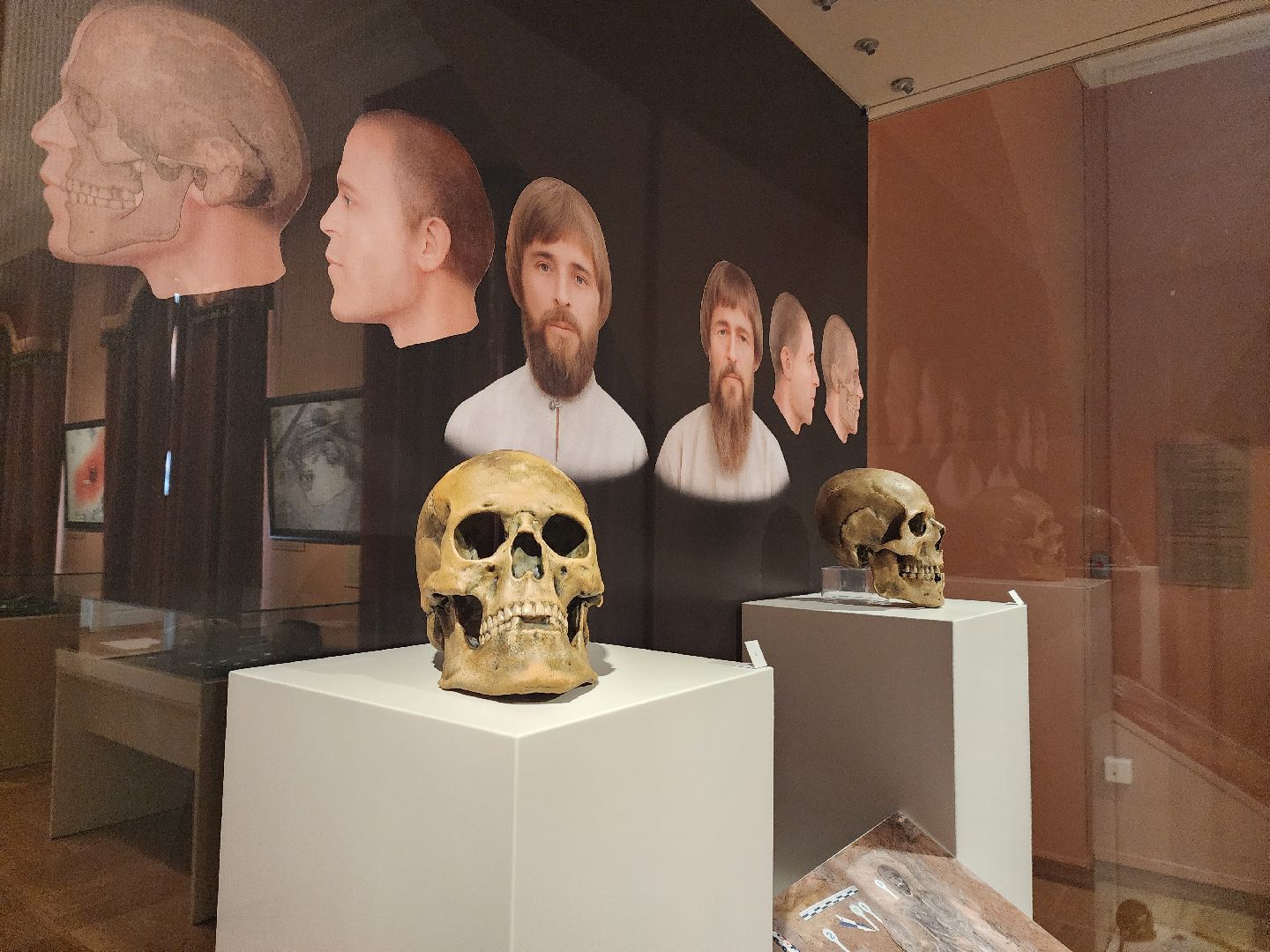 Зарайск, Археологическая выставка, Зарайский музей, Стоянка древнего человека,