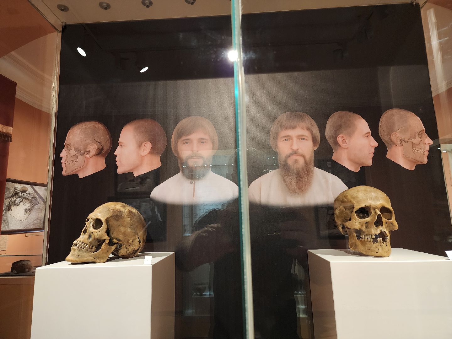 Зарайск, Археологическая выставка, Зарайский музей, Стоянка древнего человека,