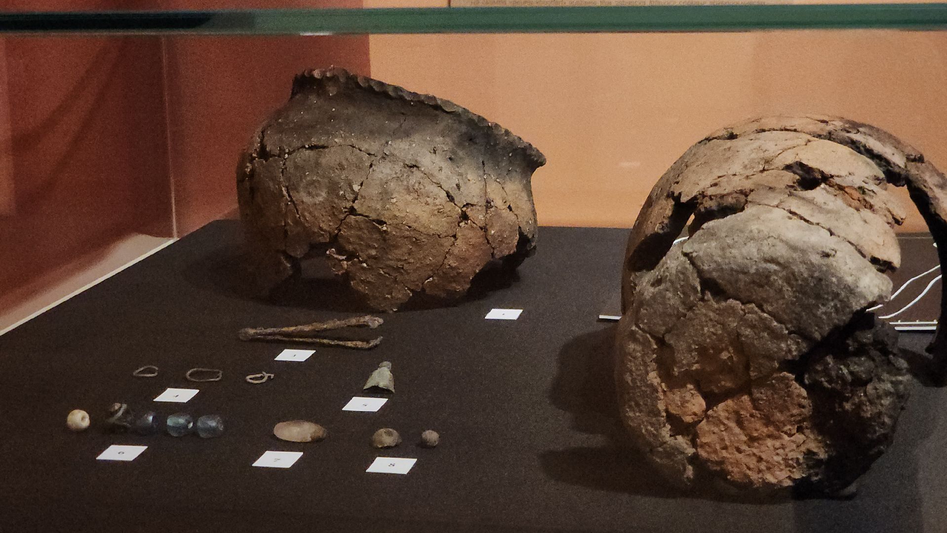 Зарайск, Археологическая выставка, Зарайский музей, Стоянка древнего человека,