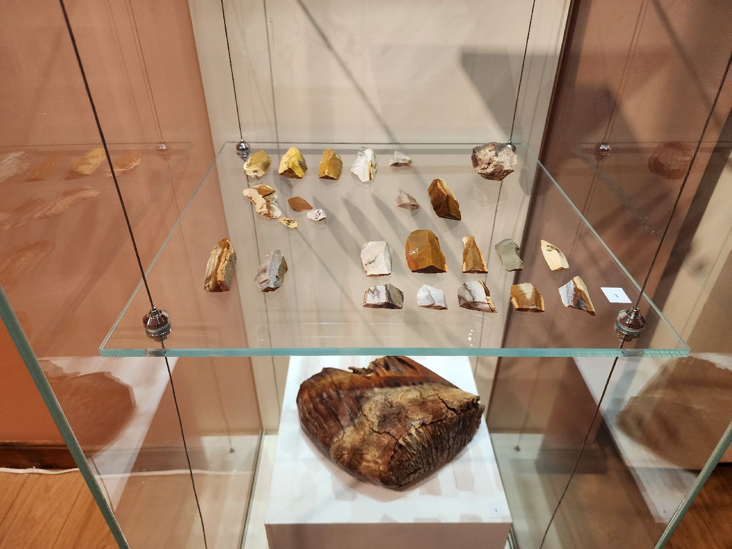 Зарайск, Археологическая выставка, Зарайский музей, Стоянка древнего человека,