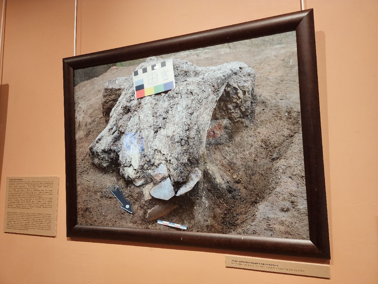 Зарайск, Археологическая выставка, Зарайский музей, Стоянка древнего человека,