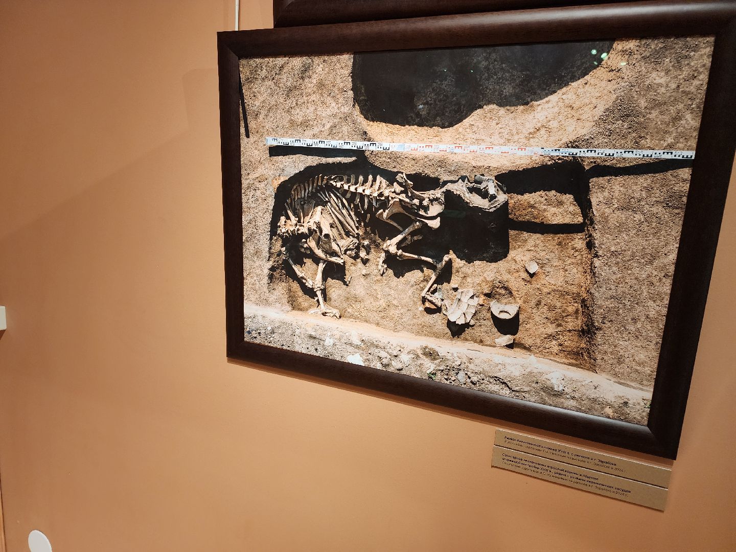 Зарайск, Археологическая выставка, Зарайский музей, Стоянка древнего человека,