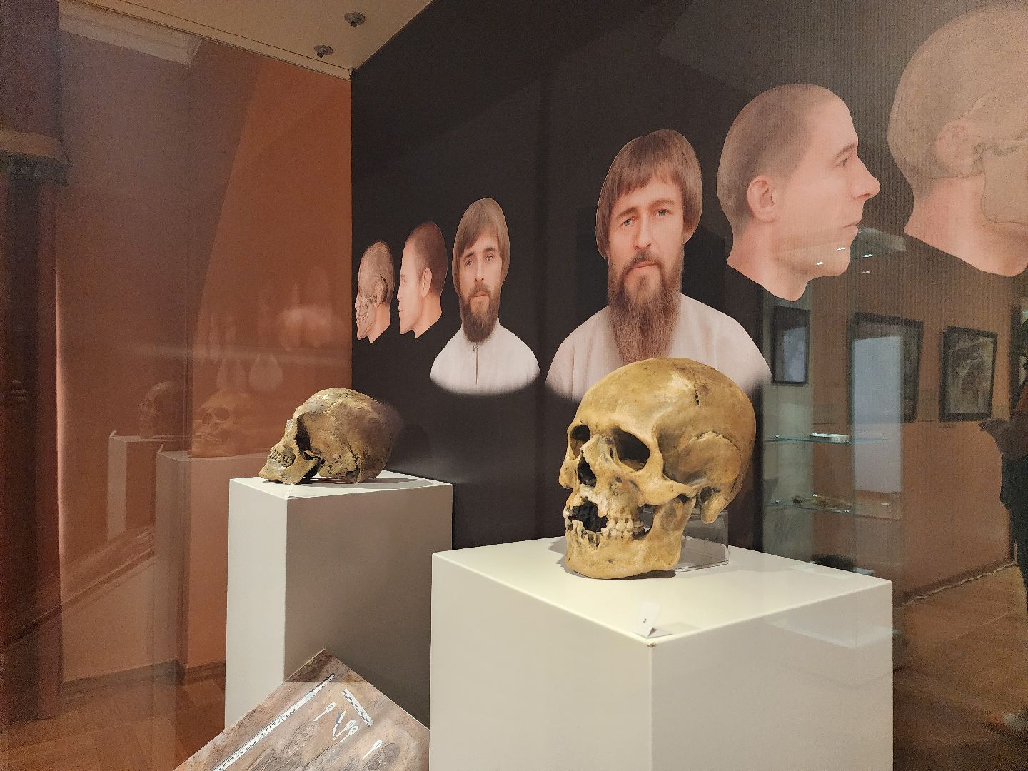 Зарайск, Археологическая выставка, Зарайский музей, Стоянка древнего человека,