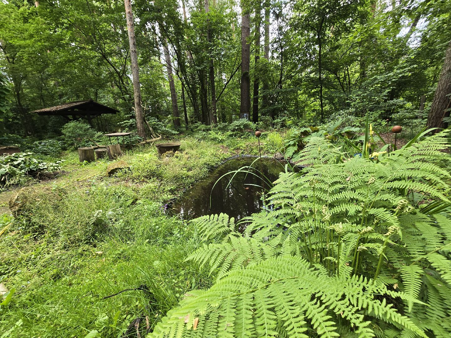 Коломна, сад, цветоводство, экскурсии,