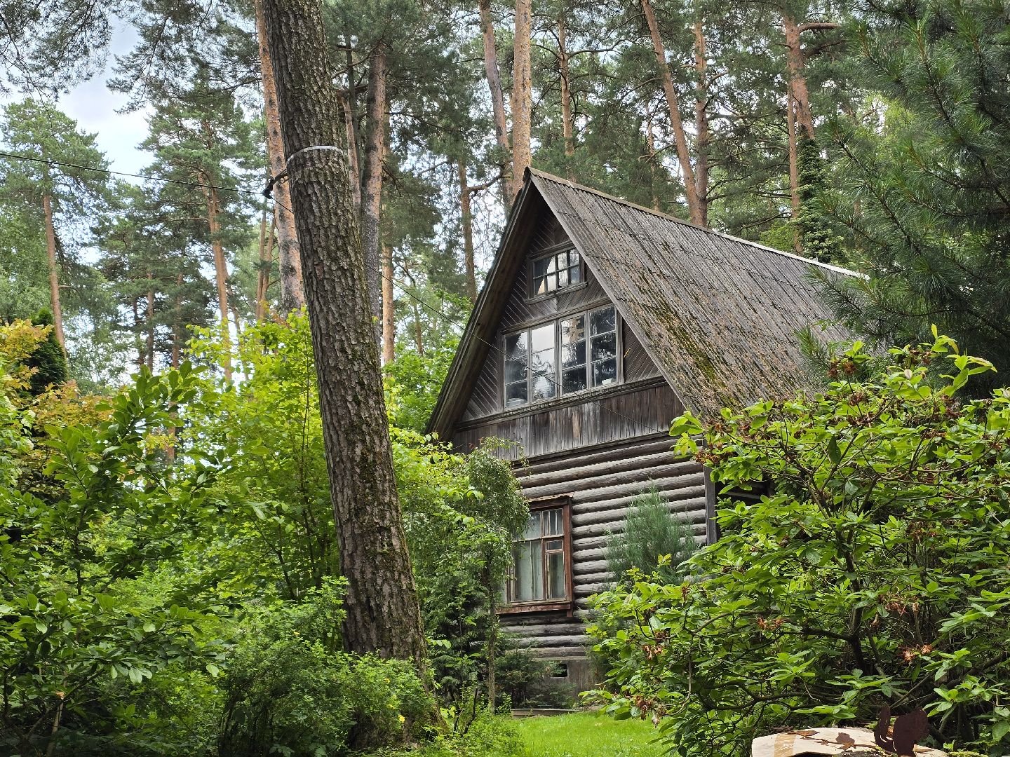 Коломна, сад, цветоводство, экскурсии,