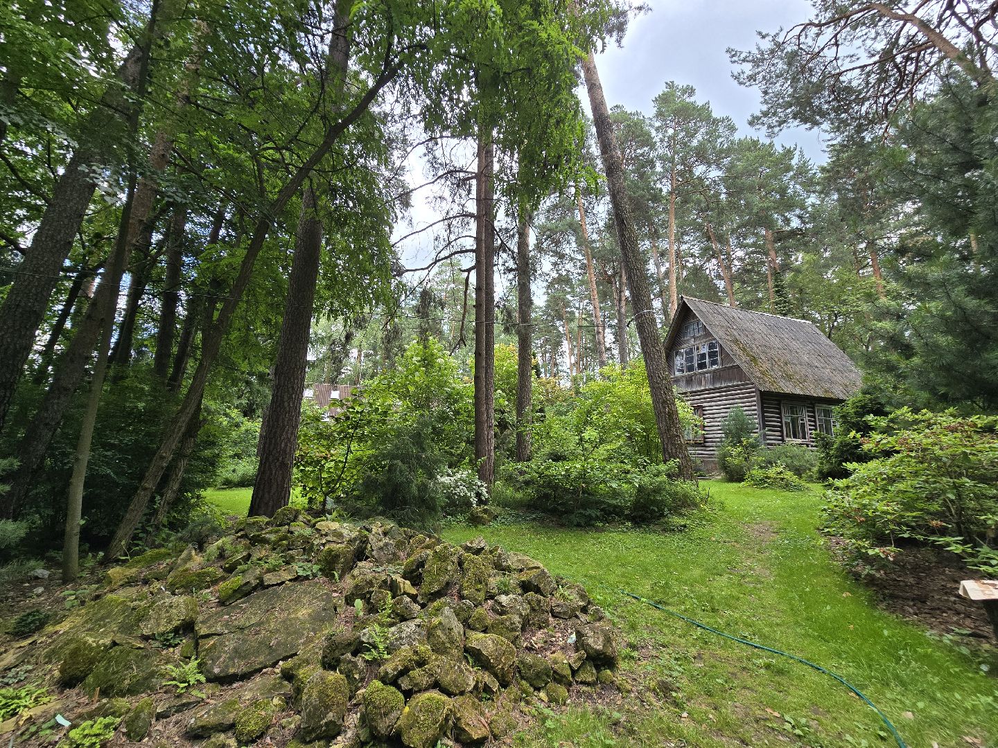 Коломна, сад, цветоводство, экскурсии,