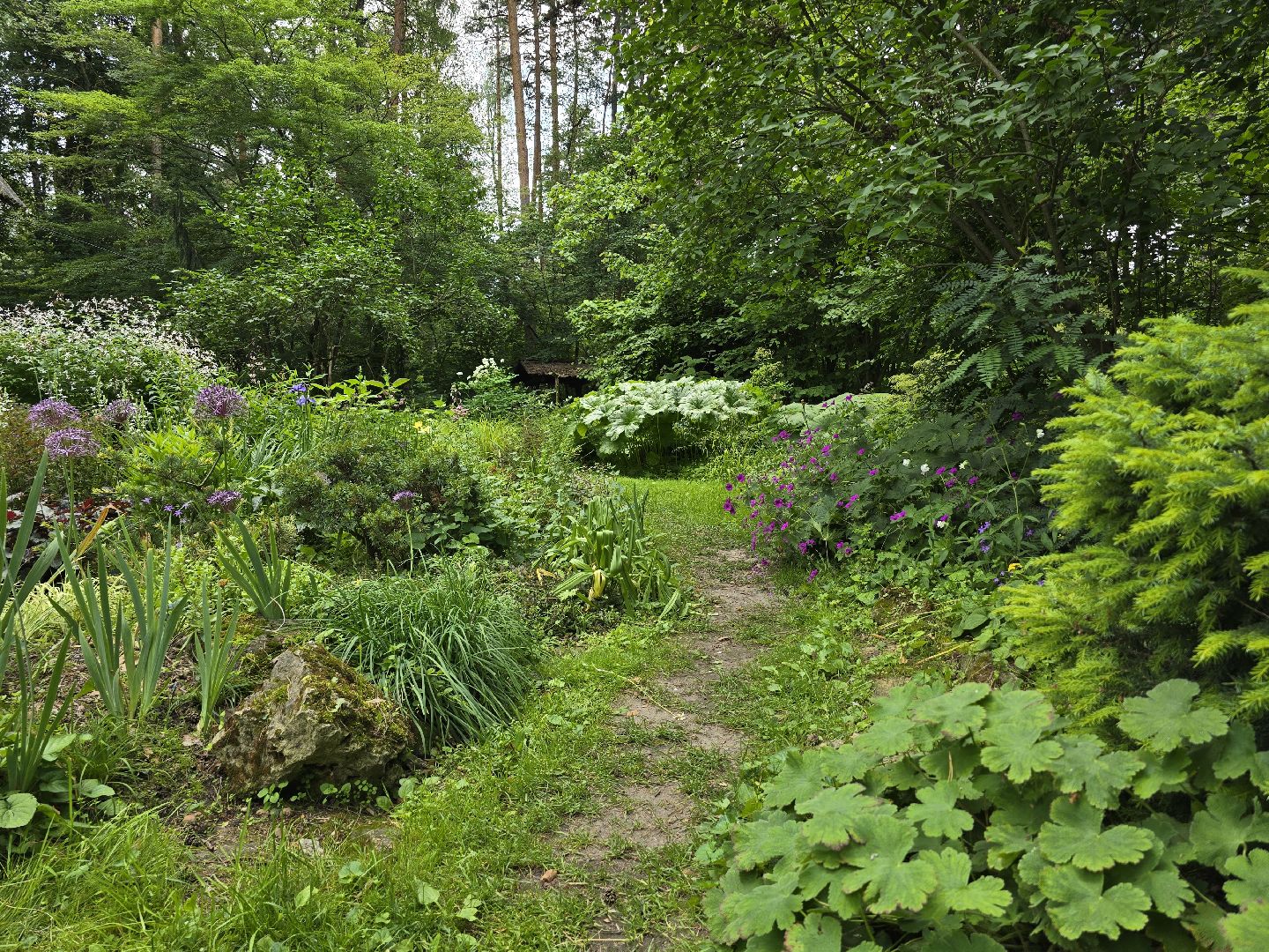 Коломна, сад, цветоводство, экскурсии,