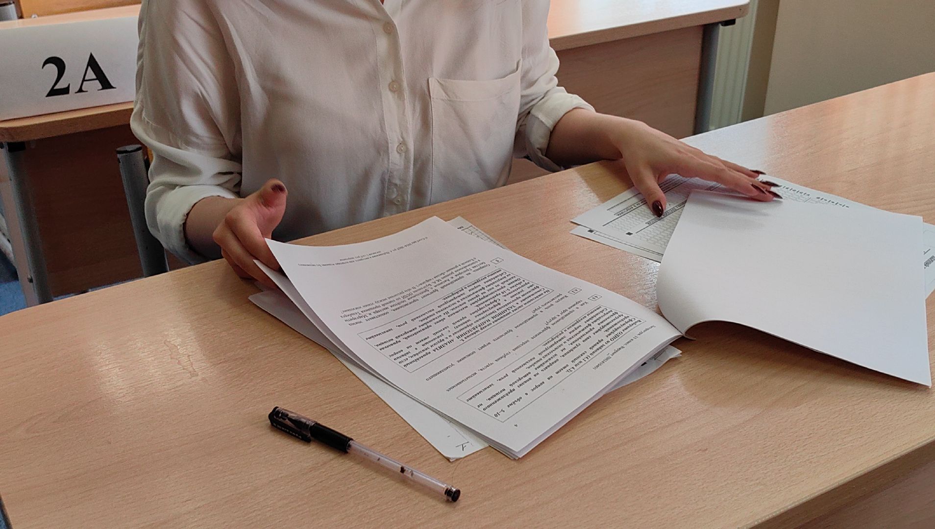 егэ, школа, 100 баллов на ЕГЭ , литература, русский язык,