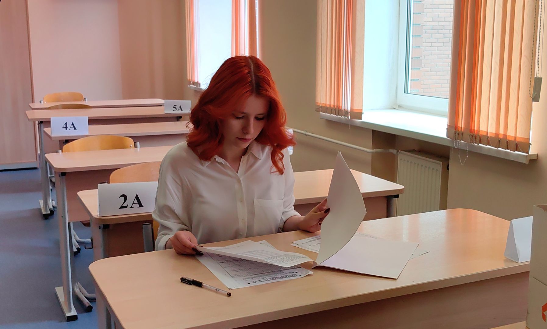 егэ, школа, 100 баллов на ЕГЭ , литература, русский язык,