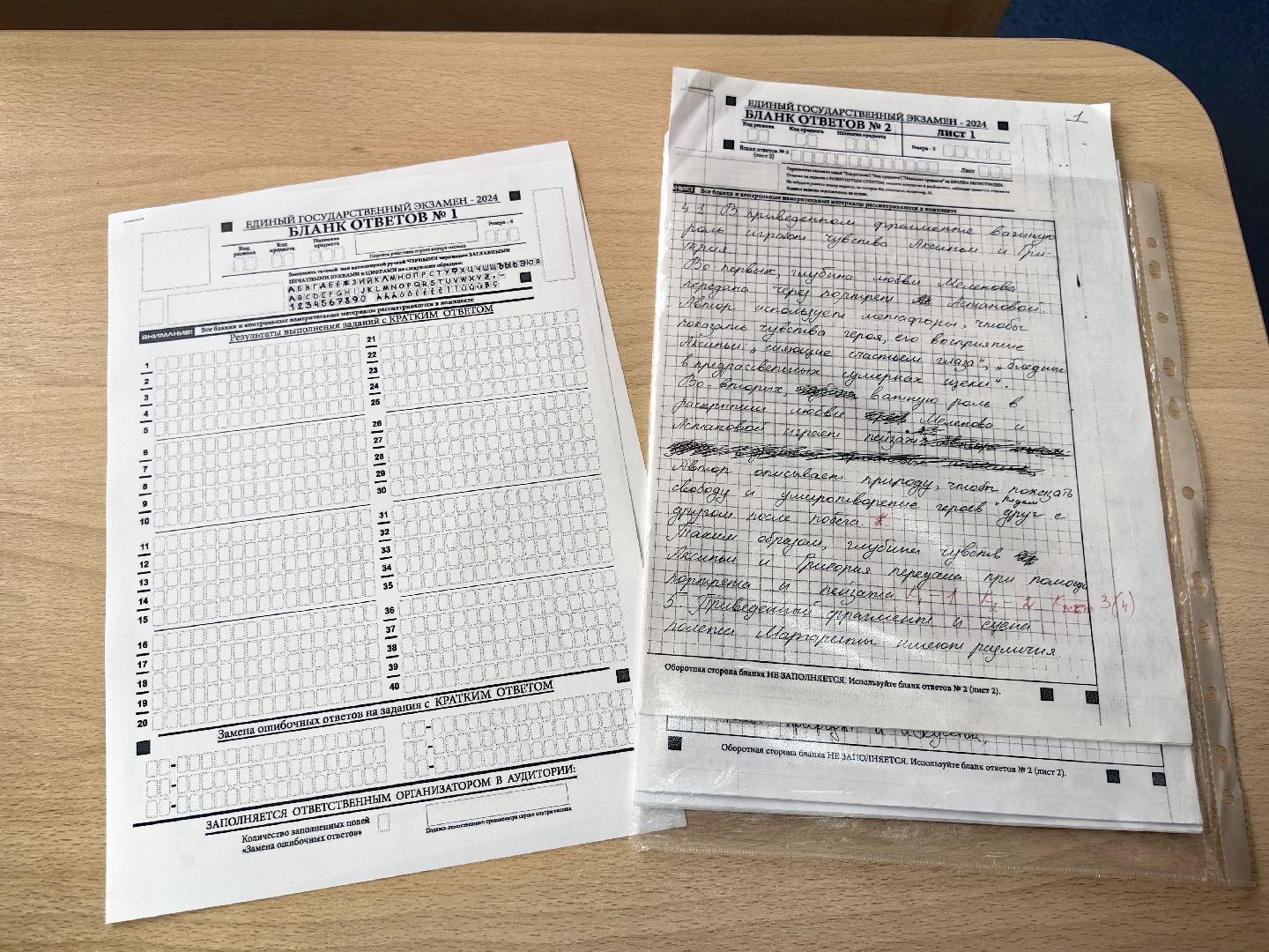 егэ, школа, 100 баллов на ЕГЭ , литература, русский язык,