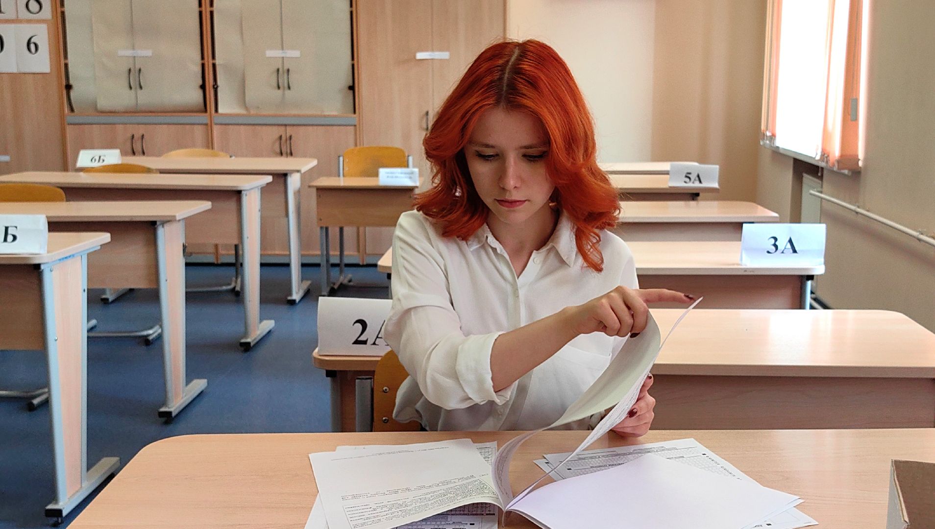 егэ, школа, 100 баллов на ЕГЭ , литература, русский язык,