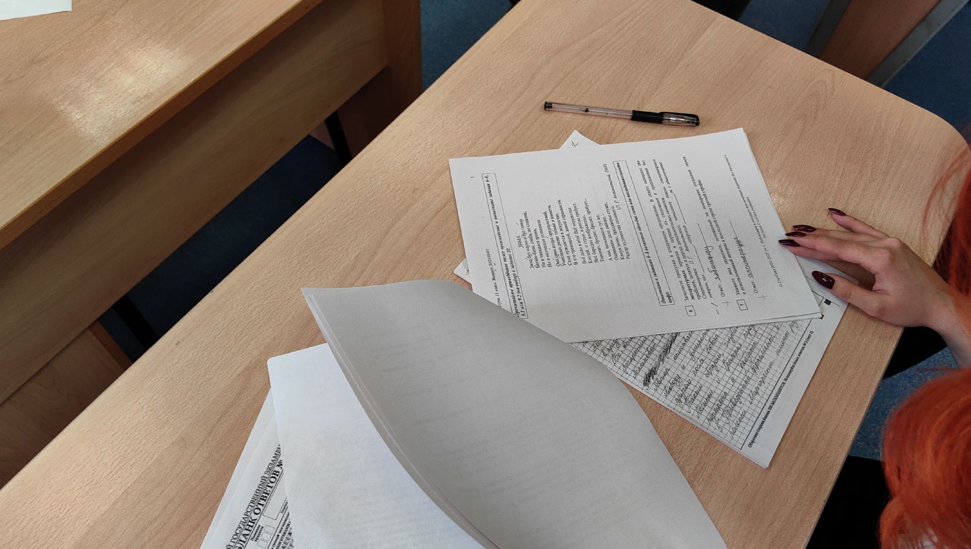 егэ, школа, 100 баллов на ЕГЭ , литература, русский язык,