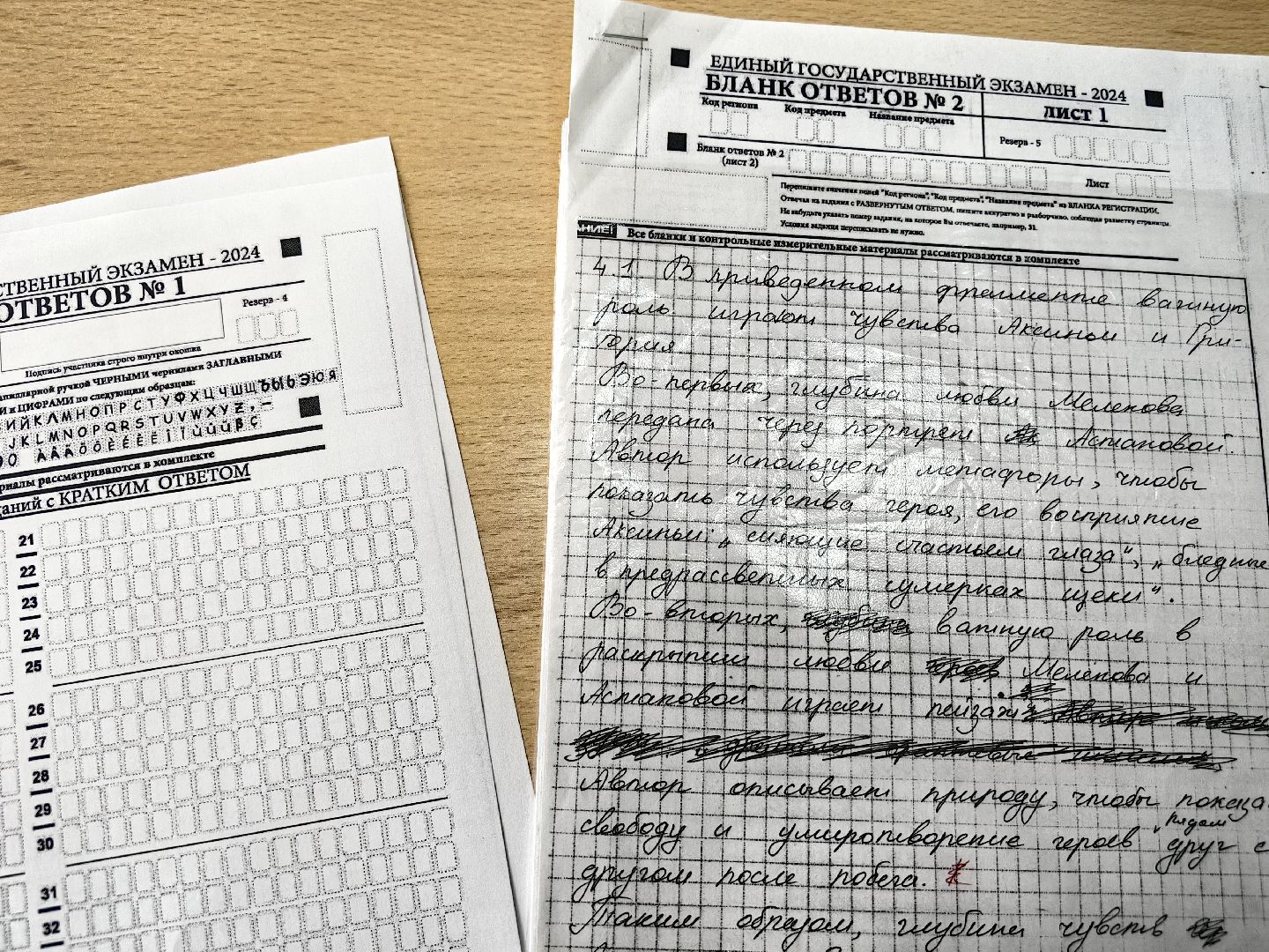 егэ, школа, 100 баллов на ЕГЭ , литература, русский язык,