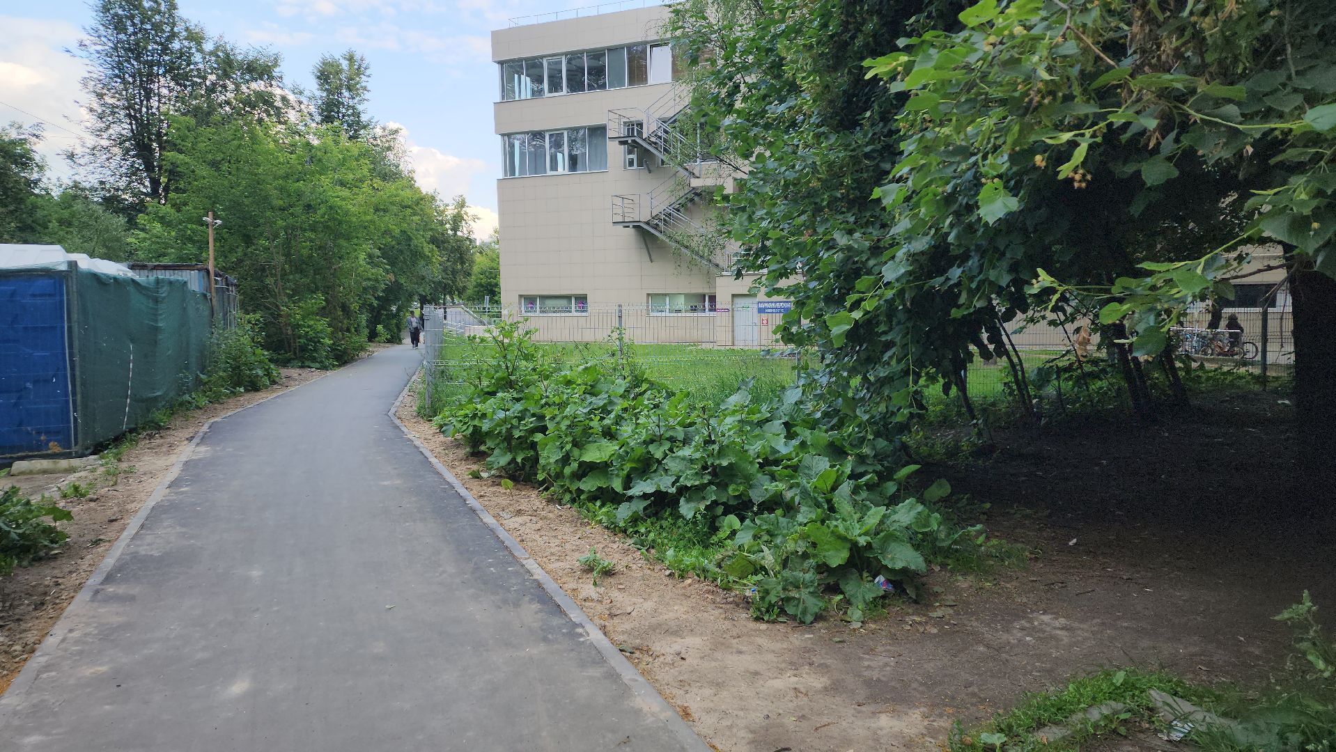 вертикалки, пушкино, пешеходная дорожка, тротуар, новый тротуар, пешком в подмосковье,региональная программа,