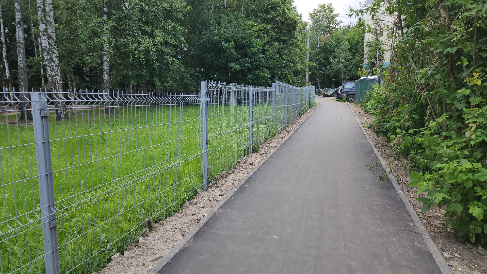 вертикалки, пушкино, пешеходная дорожка, тротуар, новый тротуар, пешком в подмосковье,региональная программа,