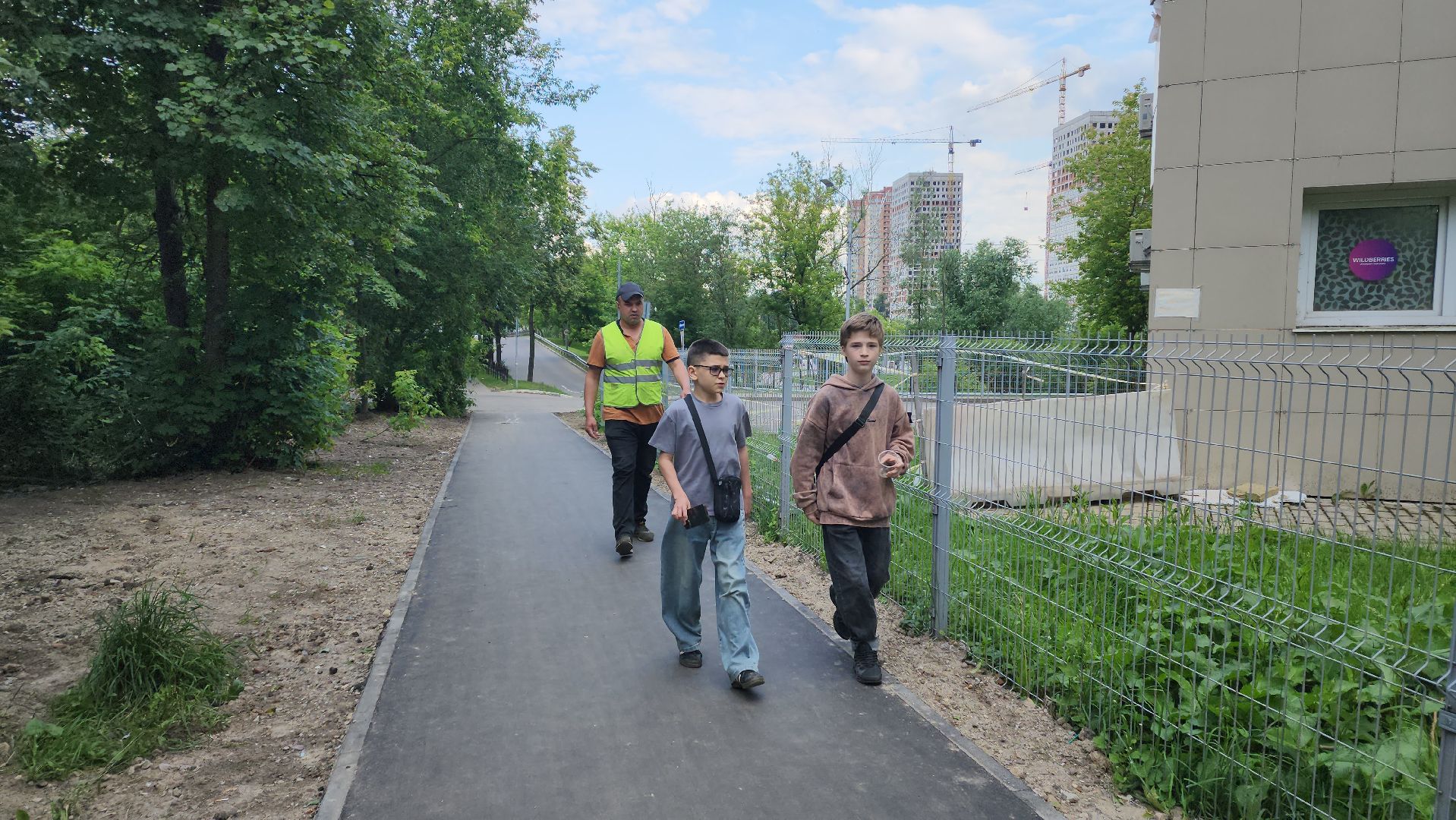 вертикалки, пушкино, пешеходная дорожка, тротуар, новый тротуар, пешком в подмосковье,региональная программа,
