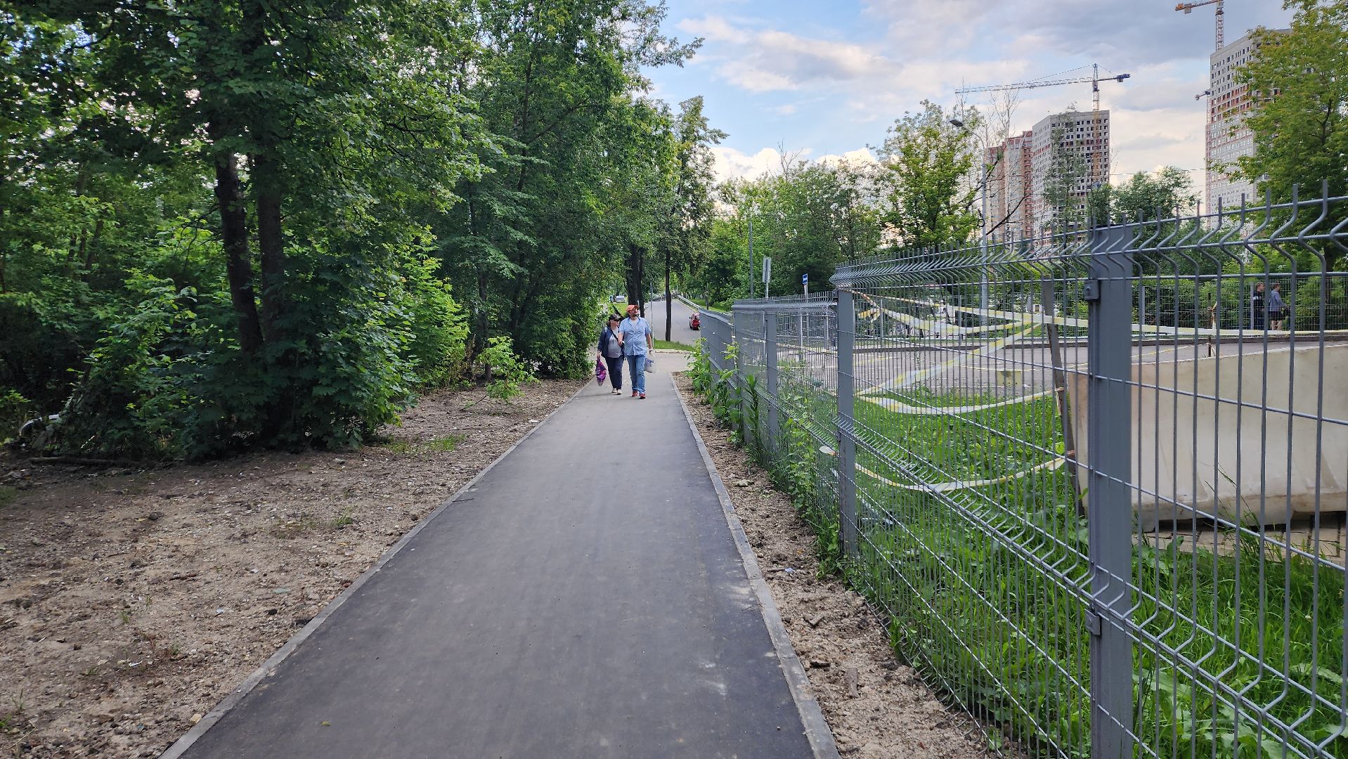 вертикалки, пушкино, пешеходная дорожка, тротуар, новый тротуар, пешком в подмосковье,региональная программа,
