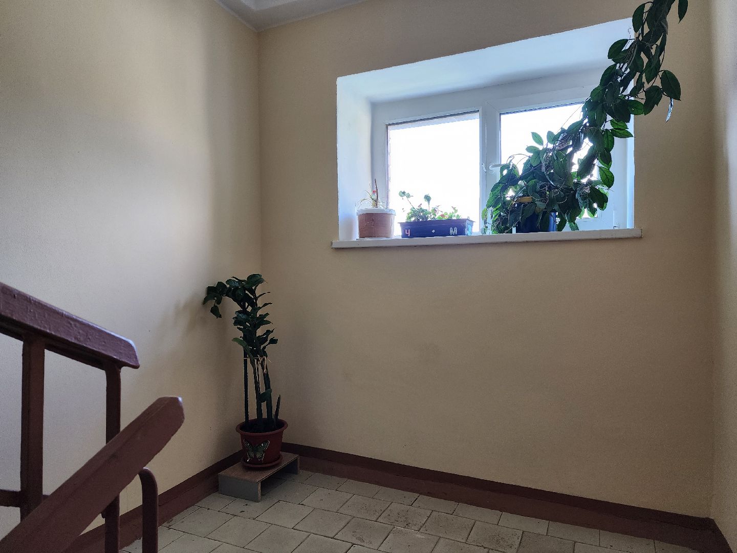 раменское, жкх, ремонт подъездов многоквартирных домов, десантная 14,