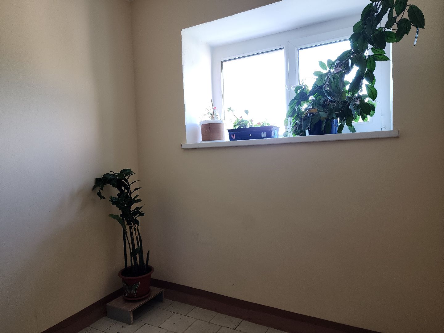 раменское, жкх, ремонт подъездов многоквартирных домов, десантная 14,