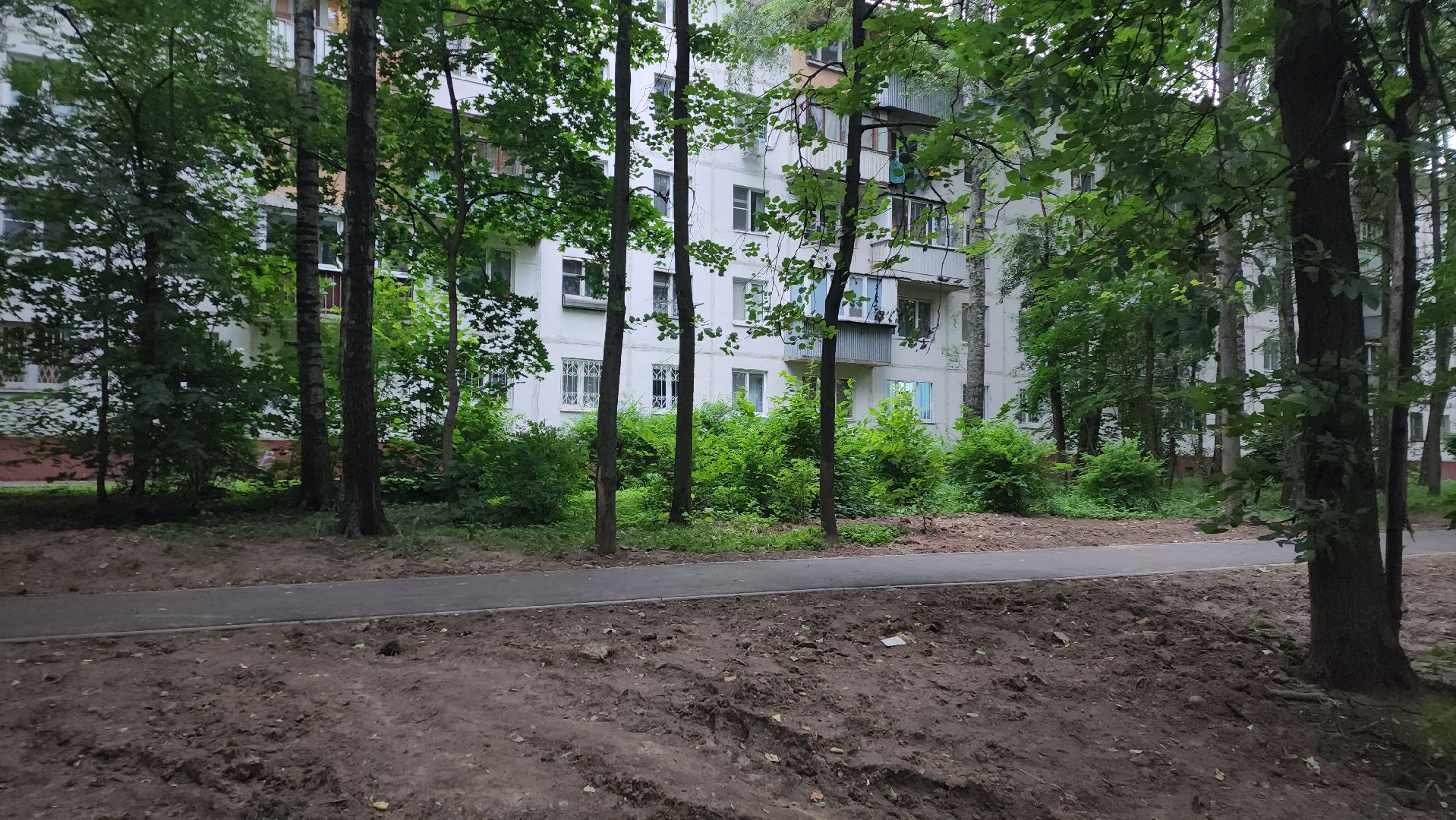 вертикалки, пушкино, тротуар, новый тротуар, пешком в подмосковье, пешеходная дорожка, благоустройство, микрорайон,серебрянка,