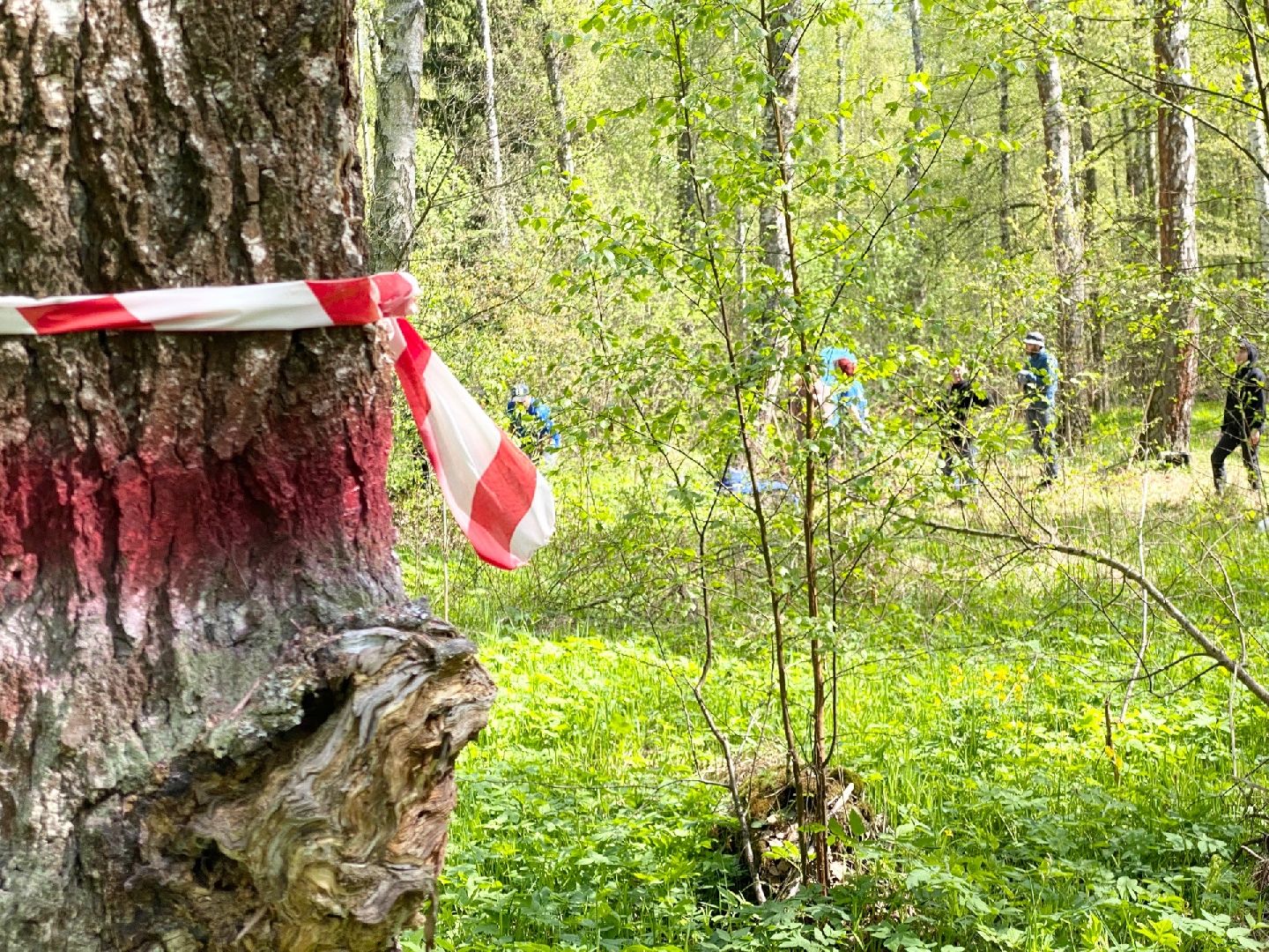 Домодедово, памятник, обелиск, День Победы, акция