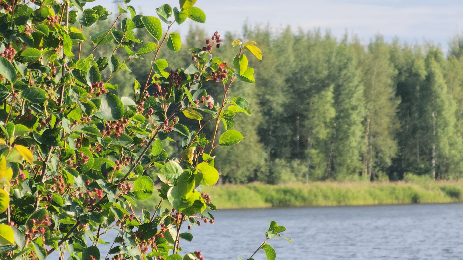 павловский посад,пляж, отдых,