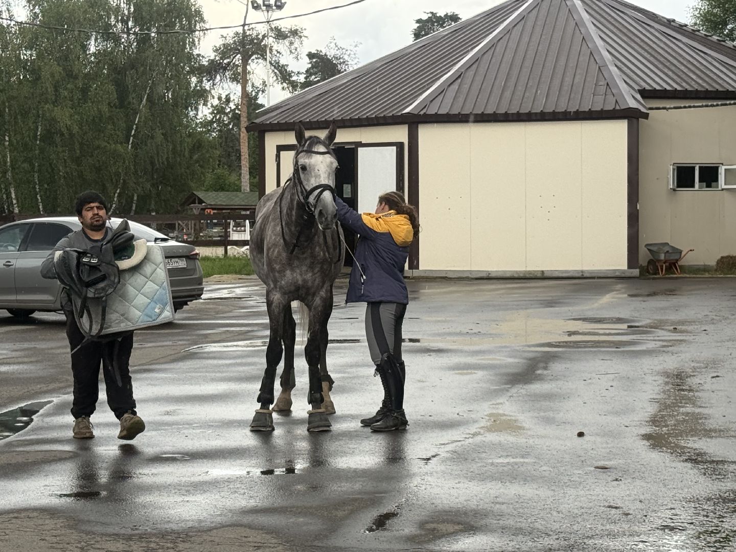 котельники, конный спорт, школа олимпийского резерва, белка, дети,