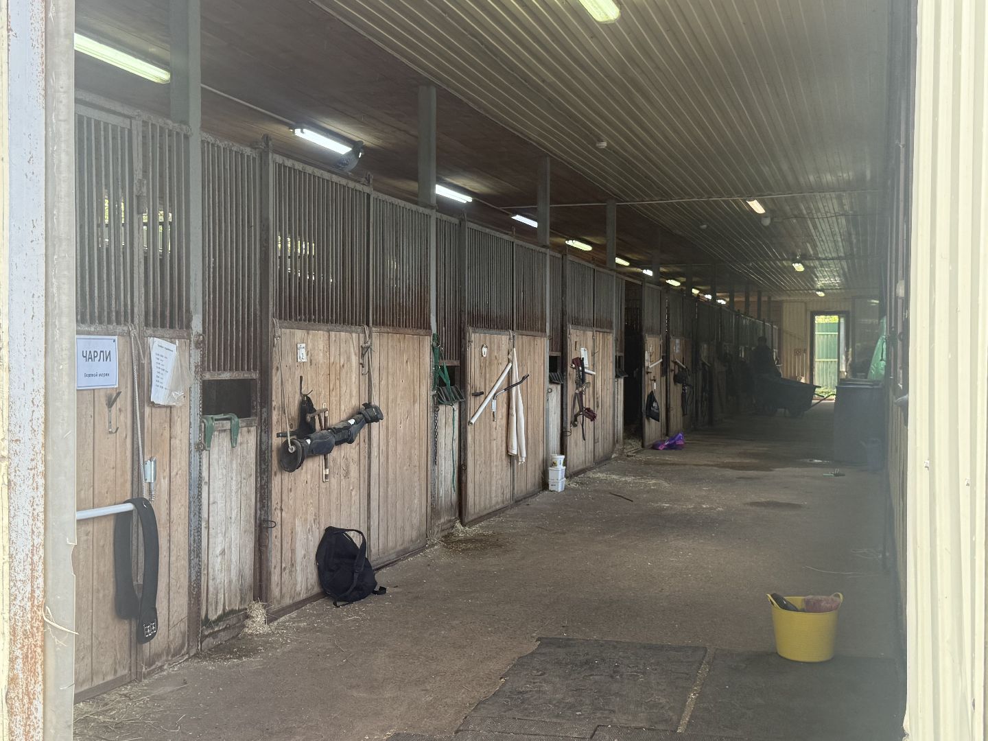 котельники, конный спорт, школа олимпийского резерва, белка, дети,