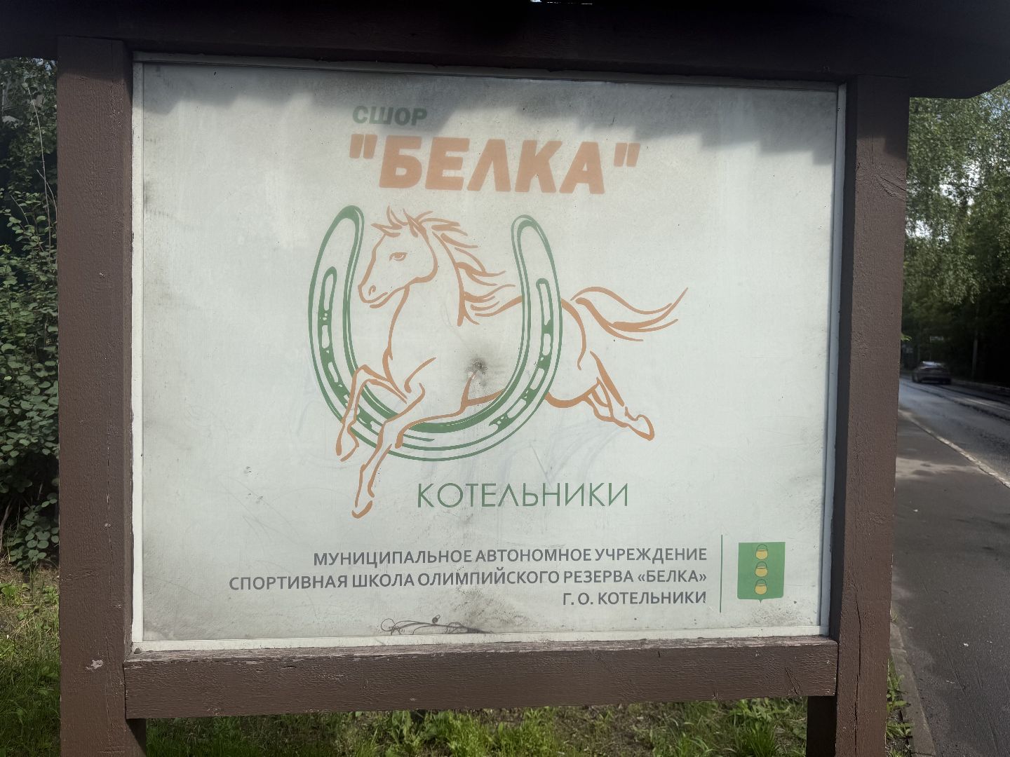 котельники, конный спорт, школа олимпийского резерва, белка, дети,