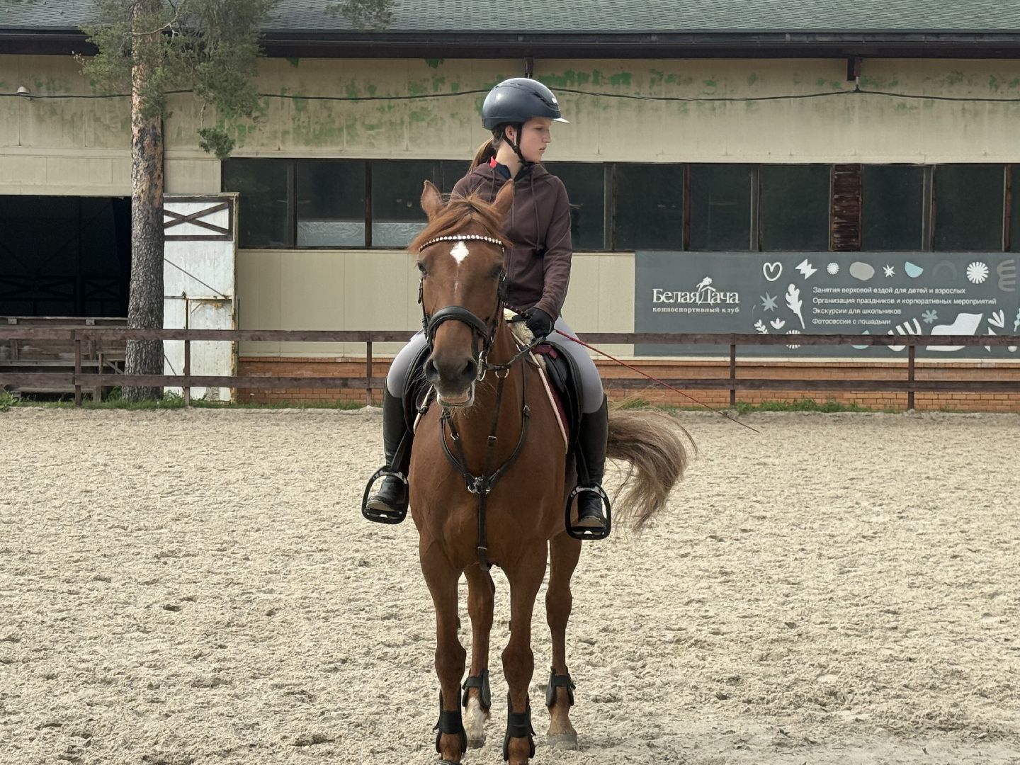конкур, соревнования, конный спорт, школа олимпийского резерва, котельники, тренер, победа,