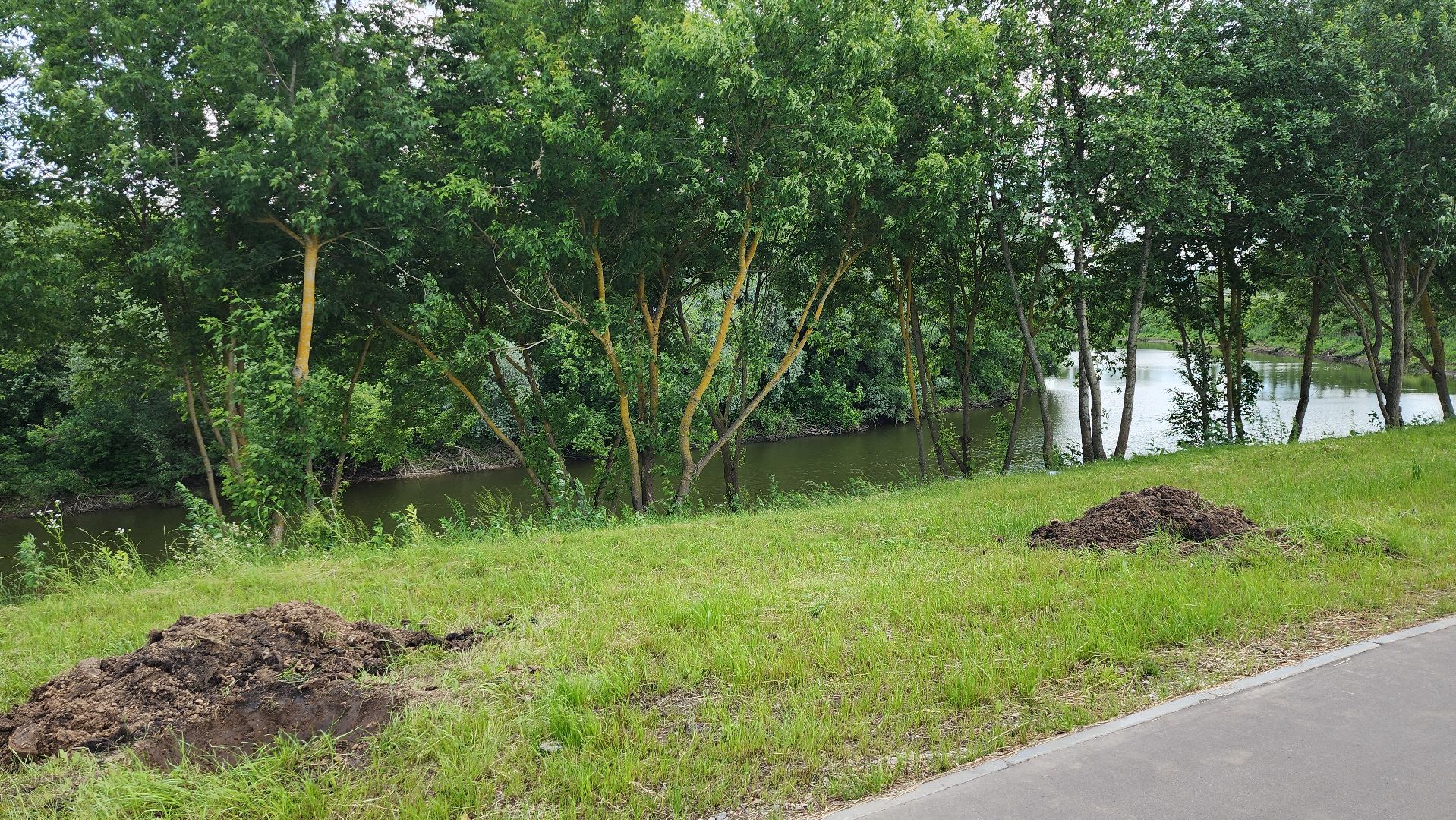 серпухов, подмосковье, пляж, отдых у воды,