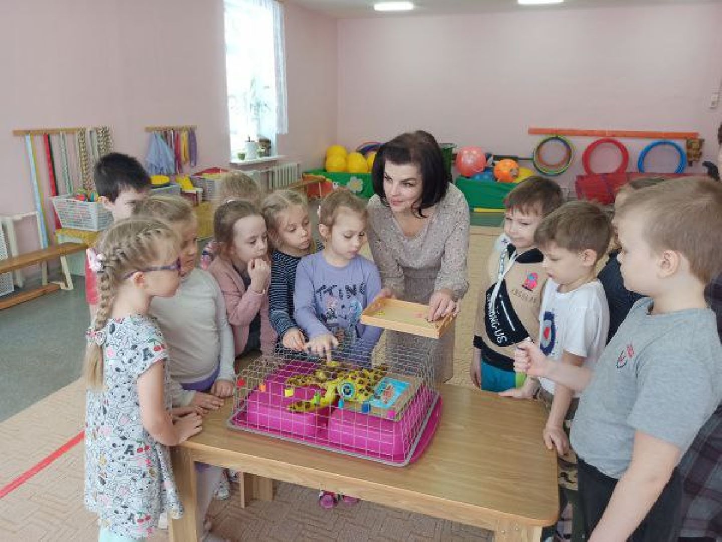 чехов, гимназия 7, дошкольное отделение,  заместитель директора гимназии, елена каргашилова, победитель муниципального этапа конкурса, премия губернатора московской области, номинация дебют, образование,биография, достижения, инновационные технологии, умные решения, нестандартные учебные практики,