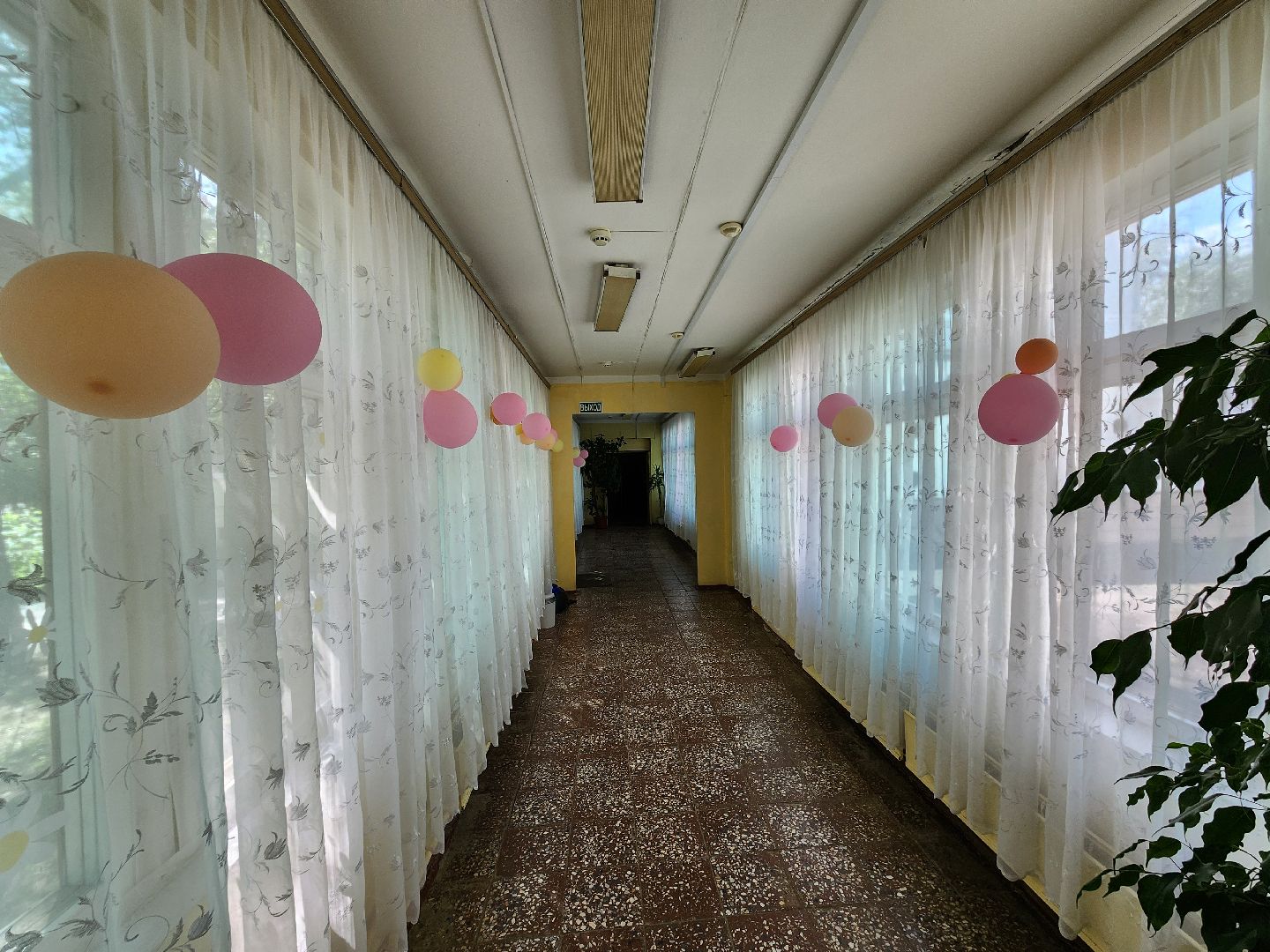 чехов, гимназия 7, дошкольное отделение,  заместитель директора гимназии, елена каргашилова, победитель муниципального этапа конкурса, премия губернатора московской области, номинация дебют, образование,биография, достижения, инновационные технологии, умные решения, нестандартные учебные практики,