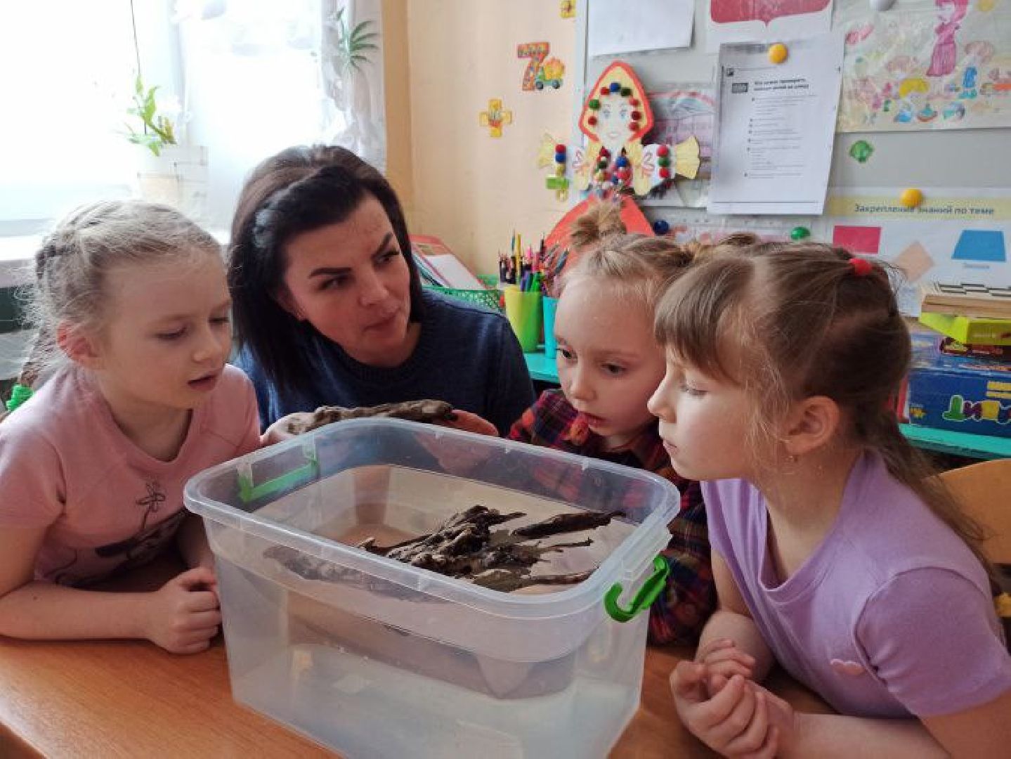 чехов, гимназия 7, дошкольное отделение,  заместитель директора гимназии, елена каргашилова, победитель муниципального этапа конкурса, премия губернатора московской области, номинация дебют, образование,биография, достижения, инновационные технологии, умные решения, нестандартные учебные практики,