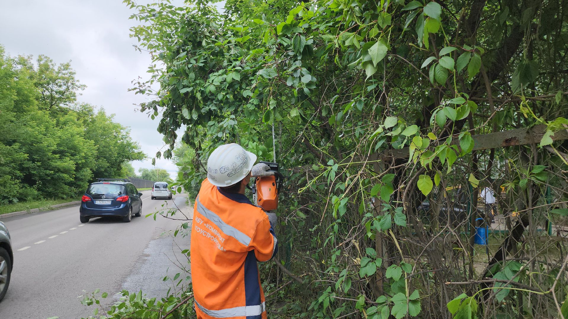 серпухов, подмосковье, опиловка деревьев,