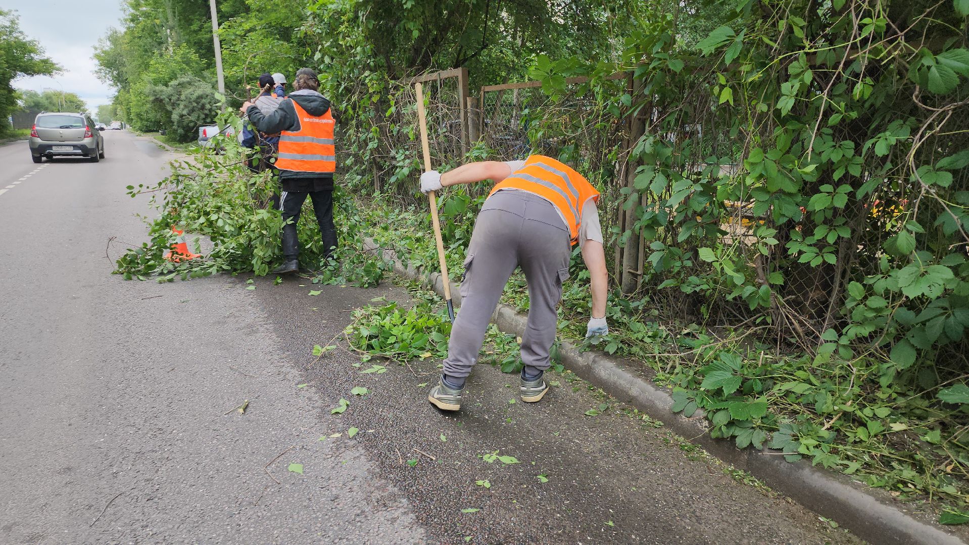 серпухов, подмосковье, опиловка деревьев,