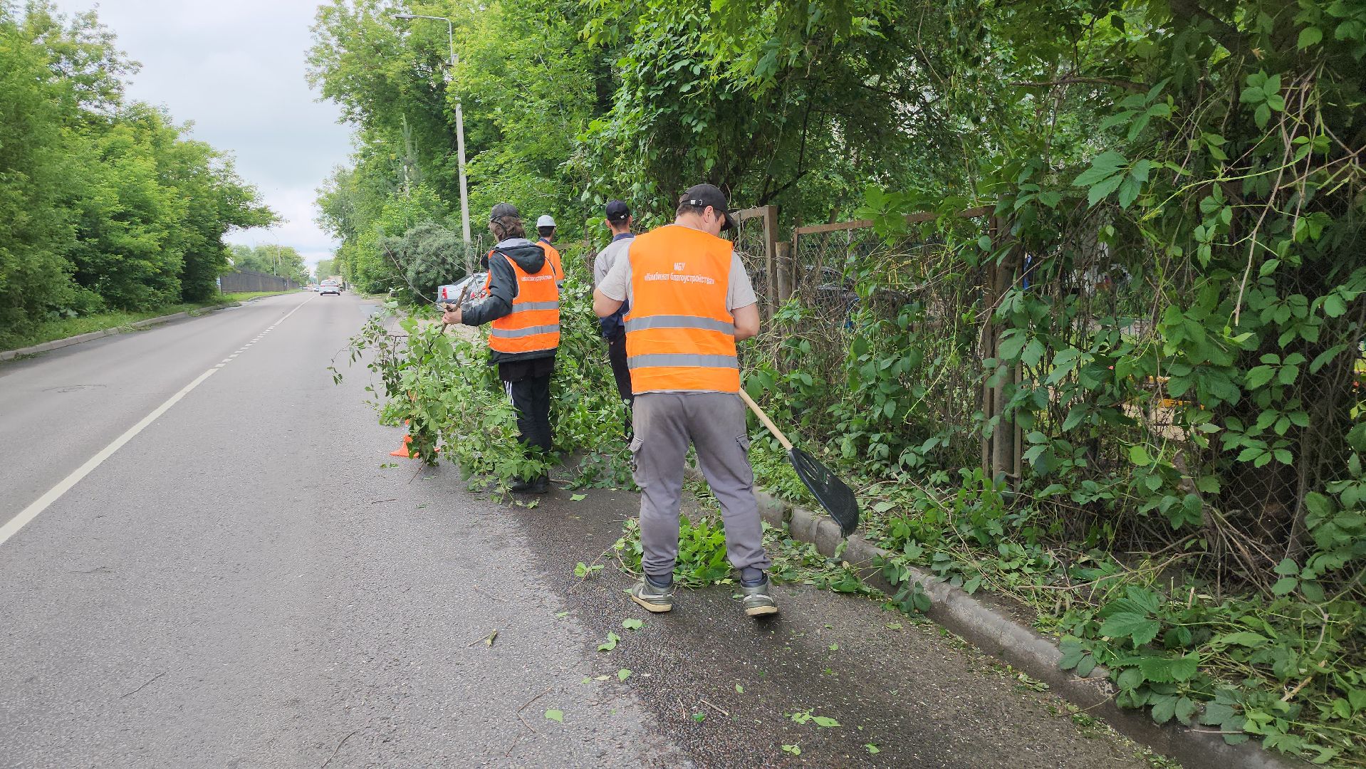 серпухов, подмосковье, опиловка деревьев,