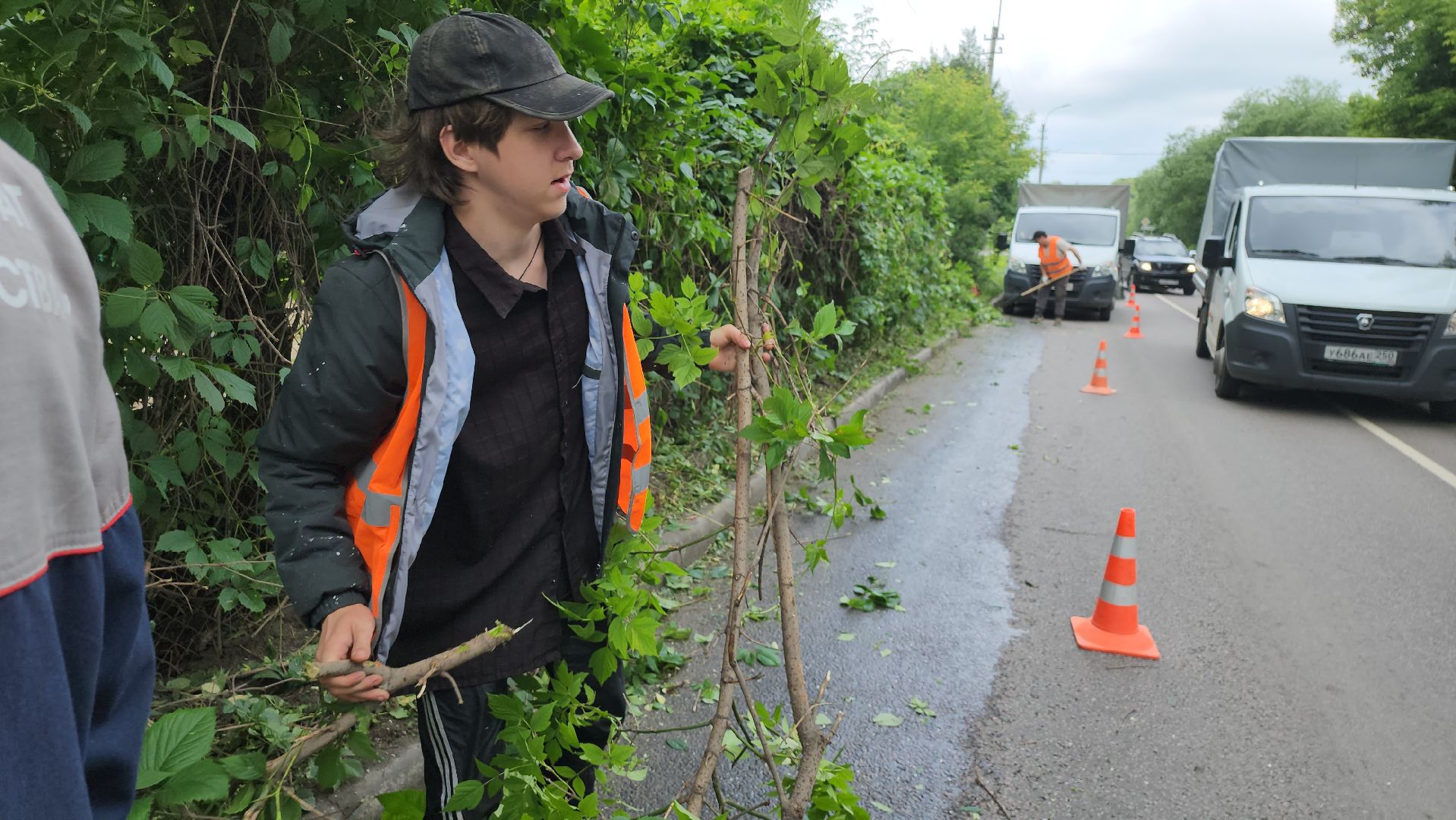 серпухов, подмосковье, опиловка деревьев,