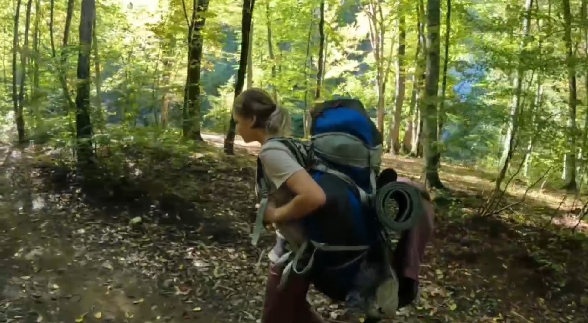 шаховская, туризм, путешествия по россии,