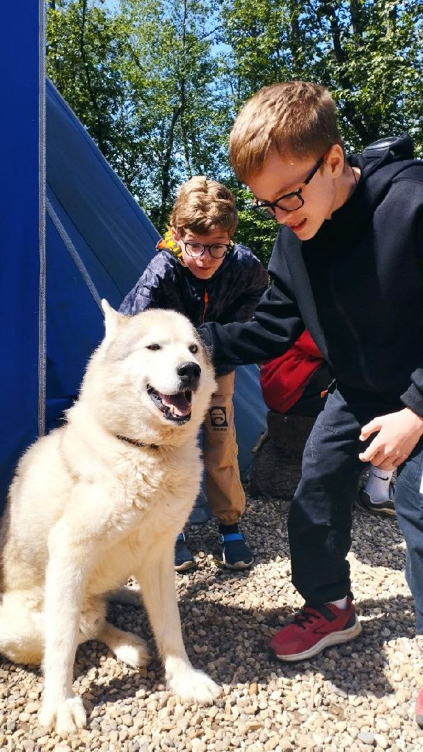 ивантеевка, экопарк, парк семейного отдыха, дети с овз, дикие животные,экскурсия,прогулка,центр социального обслуживания,вертикалки,