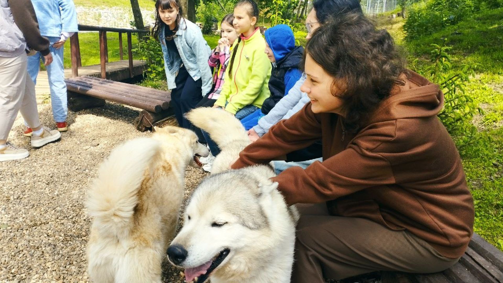 ивантеевка, экопарк, парк семейного отдыха, дети с овз, дикие животные,экскурсия,прогулка,центр социального обслуживания,вертикалки,