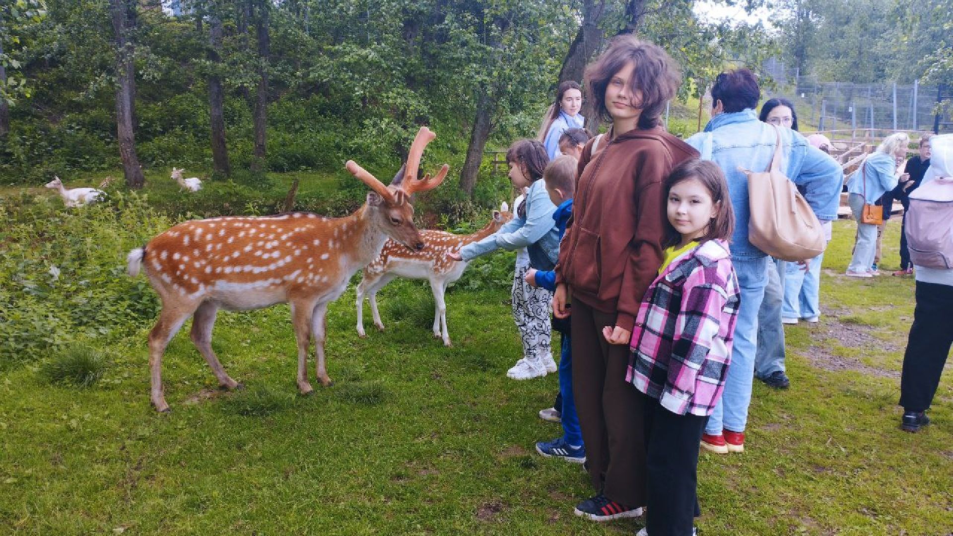 ивантеевка, экопарк, парк семейного отдыха, дети с овз, дикие животные,экскурсия,прогулка,центр социального обслуживания,вертикалки,