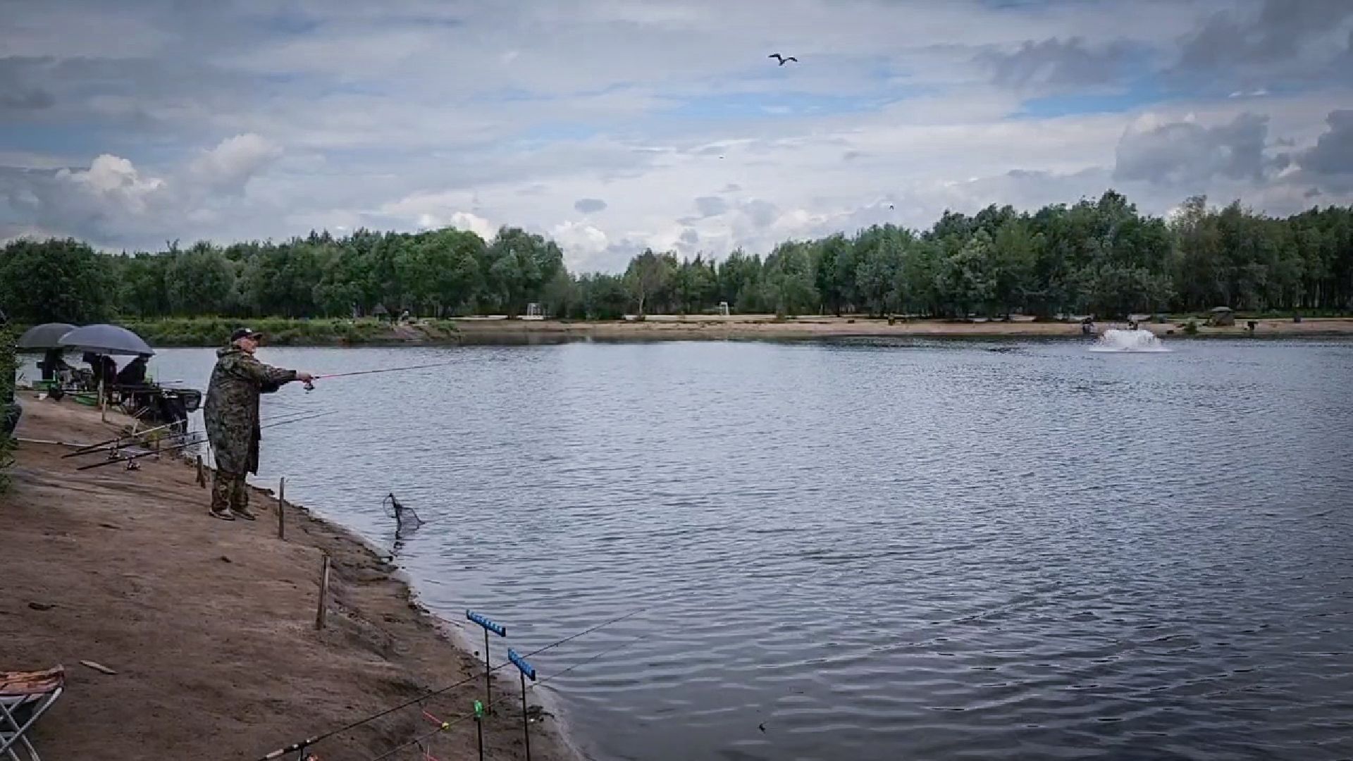 платная рыбалка , царская рыбалка , осетр,