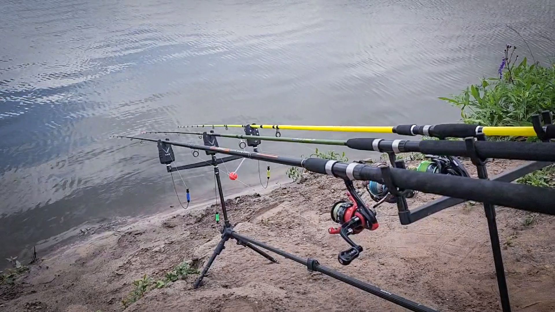 платная рыбалка , царская рыбалка , осетр,