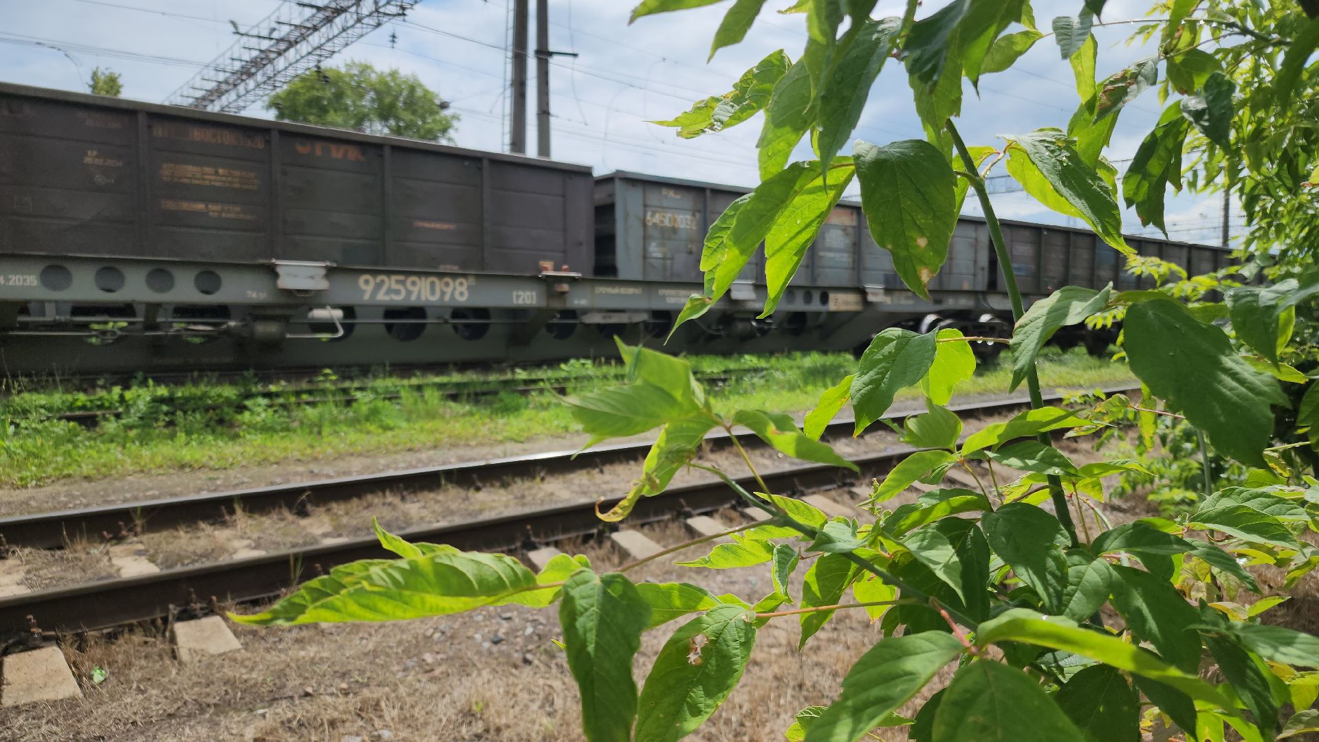 выездная администрация, орехово-зуево,строительство путепровода,