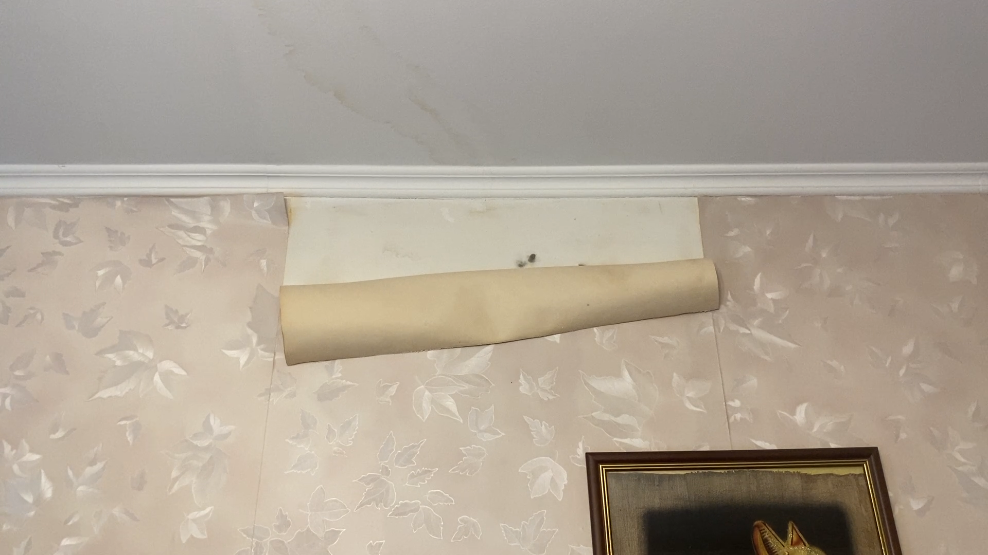 фонд капремонта мо, фонд капремонта московской области, ремонт кровли, капремонт мкд власиха, заозерная власиха,